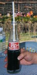 Thai Coke bottle